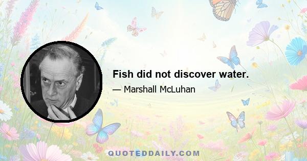 Fish did not discover water.