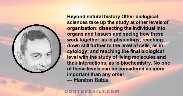 Beyond natural history Other biological sciences take up the study at other levels of organization: dissecting the individual into organs and tissues and seeing how these work together, as in physiology; reaching down