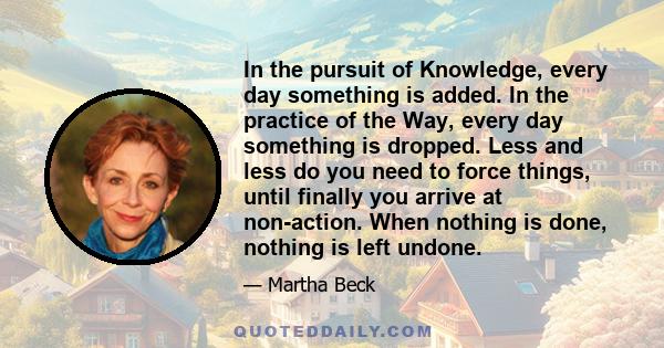 In the pursuit of Knowledge, every day something is added. In the practice of the Way, every day something is dropped. Less and less do you need to force things, until finally you arrive at non-action. When nothing is