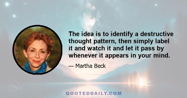 The idea is to identify a destructive thought pattern, then simply label it and watch it and let it pass by whenever it appears in your mind.