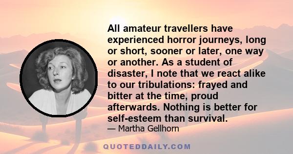 All amateur travellers have experienced horror journeys, long or short, sooner or later, one way or another. As a student of disaster, I note that we react alike to our tribulations: frayed and bitter at the time, proud 