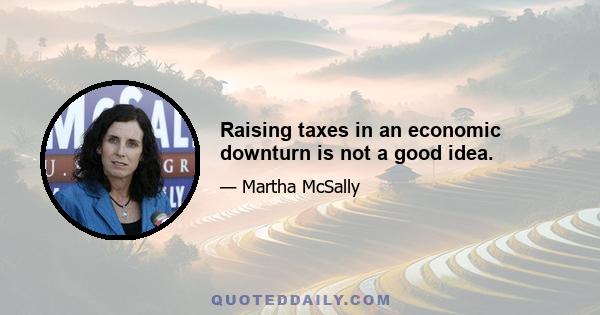 Raising taxes in an economic downturn is not a good idea.