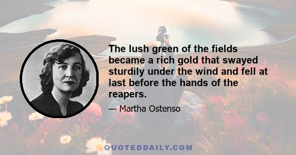 The lush green of the fields became a rich gold that swayed sturdily under the wind and fell at last before the hands of the reapers.