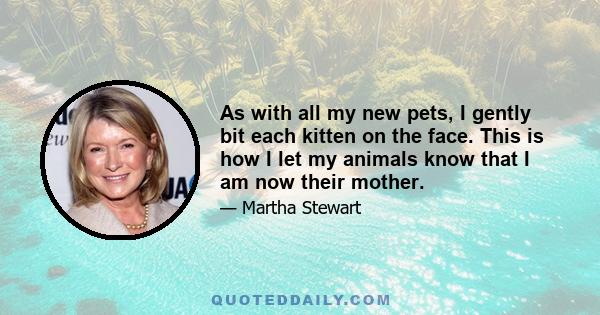 As with all my new pets, I gently bit each kitten on the face. This is how I let my animals know that I am now their mother.