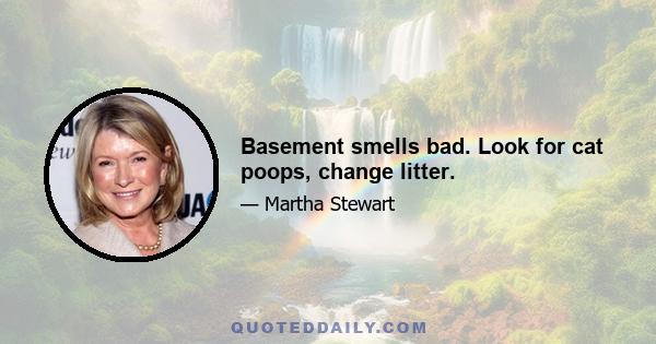 Basement smells bad. Look for cat poops, change litter.