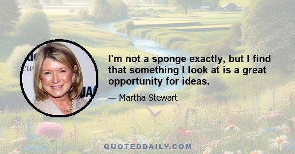 I'm not a sponge exactly, but I find that something I look at is a great opportunity for ideas.