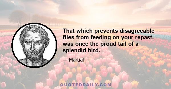 That which prevents disagreeable flies from feeding on your repast, was once the proud tail of a splendid bird.