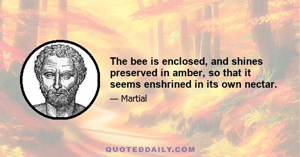 The bee is enclosed, and shines preserved in amber, so that it seems enshrined in its own nectar.