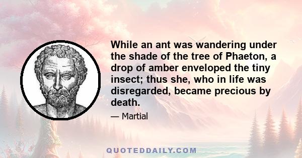 While an ant was wandering under the shade of the tree of Phaeton, a drop of amber enveloped the tiny insect; thus she, who in life was disregarded, became precious by death.