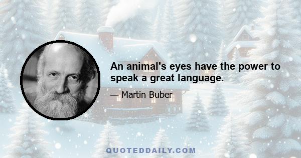 An animal's eyes have the power to speak a great language.