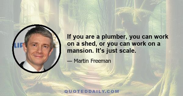 If you are a plumber, you can work on a shed, or you can work on a mansion. It's just scale.