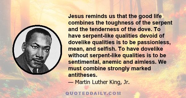 Jesus reminds us that the good life combines the toughness of the serpent and the tenderness of the dove. To have serpent-like qualities devoid of dovelike qualities is to be passionless, mean, and selfish. To have