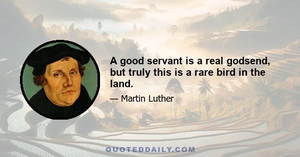 A good servant is a real godsend, but truly this is a rare bird in the land.