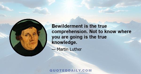 Bewilderment is the true comprehension. Not to know where you are going is the true knowledge.