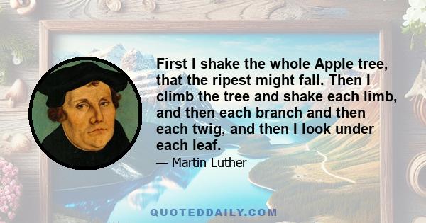 First I shake the whole Apple tree, that the ripest might fall. Then I climb the tree and shake each limb, and then each branch and then each twig, and then I look under each leaf.