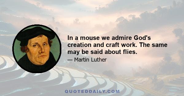 In a mouse we admire God's creation and craft work. The same may be said about flies.