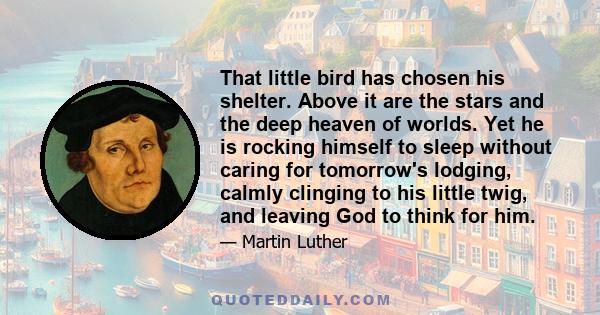 That little bird has chosen his shelter. Above it are the stars and the deep heaven of worlds. Yet he is rocking himself to sleep without caring for tomorrow's lodging, calmly clinging to his little twig, and leaving