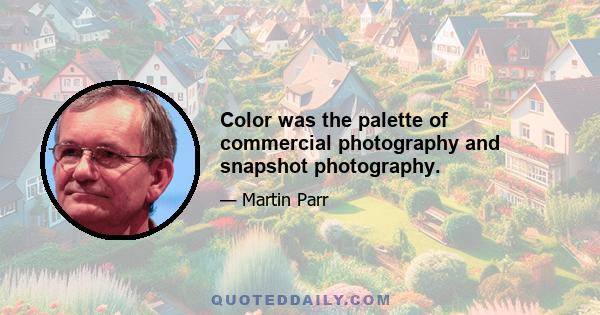 Color was the palette of commercial photography and snapshot photography.