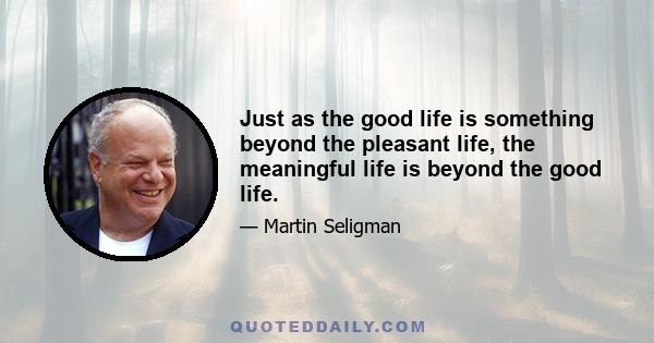 Just as the good life is something beyond the pleasant life, the meaningful life is beyond the good life.