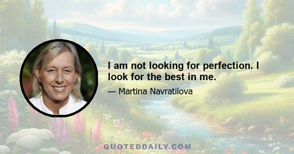 I am not looking for perfection. I look for the best in me.