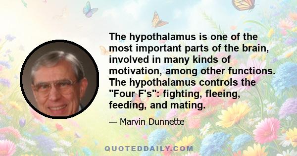 The hypothalamus is one of the most important parts of the brain, involved in many kinds of motivation, among other functions. The hypothalamus controls the Four F's: fighting, fleeing, feeding, and mating.