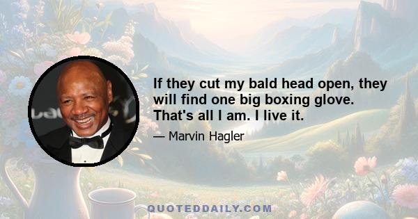 If they cut my bald head open, they will find one big boxing glove. That's all I am. I live it.