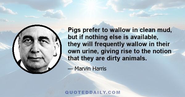 Pigs prefer to wallow in clean mud, but if nothing else is available, they will frequently wallow in their own urine, giving rise to the notion that they are dirty animals.