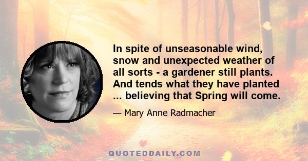 In spite of unseasonable wind, snow and unexpected weather of all sorts - a gardener still plants. And tends what they have planted ... believing that Spring will come.