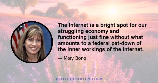 The Internet is a bright spot for our struggling economy and functioning just fine without what amounts to a federal pat-down of the inner workings of the Internet.