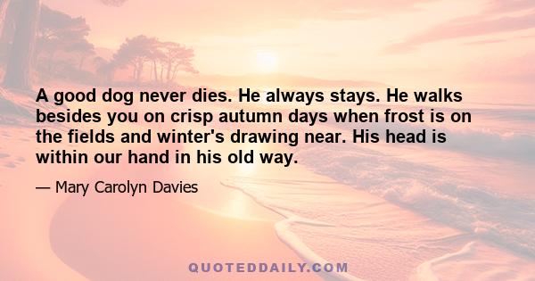 A good dog never dies. He always stays. He walks besides you on crisp autumn days when frost is on the fields and winter's drawing near. His head is within our hand in his old way.