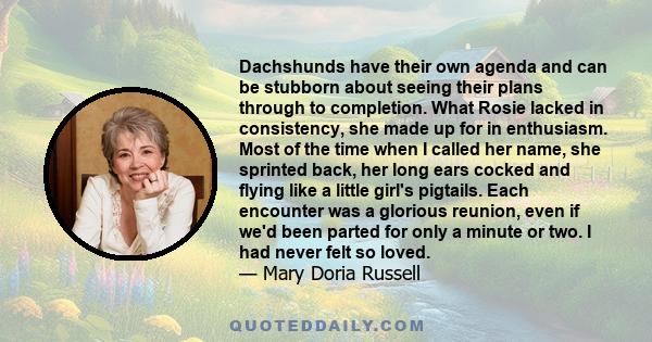 Dachshunds have their own agenda and can be stubborn about seeing their plans through to completion. What Rosie lacked in consistency, she made up for in enthusiasm. Most of the time when I called her name, she sprinted 