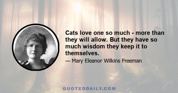 Cats love one so much - more than they will allow. But they have so much wisdom they keep it to themselves.