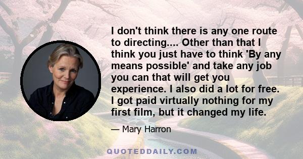 I don't think there is any one route to directing.... Other than that I think you just have to think 'By any means possible' and take any job you can that will get you experience. I also did a lot for free. I got paid