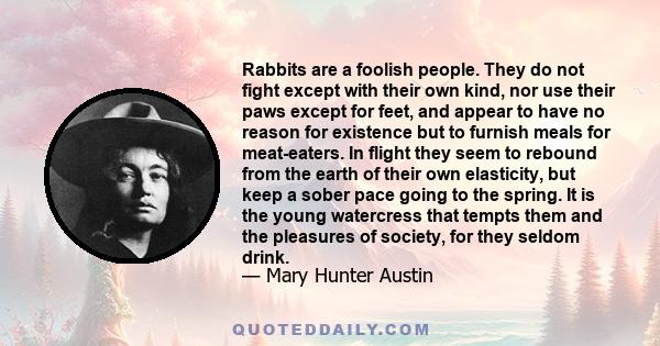 Rabbits are a foolish people. They do not fight except with their own kind, nor use their paws except for feet, and appear to have no reason for existence but to furnish meals for meat-eaters. In flight they seem to