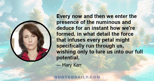 Every now and then we enter the presence of the numinous and deduce for an instant how we're formed, in what detail the force that infuses every petal might specifically run through us, wishing only to lure us into our