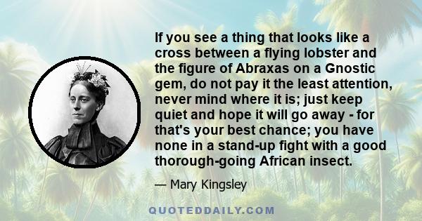 If you see a thing that looks like a cross between a flying lobster and the figure of Abraxas on a Gnostic gem, do not pay it the least attention, never mind where it is; just keep quiet and hope it will go away - for