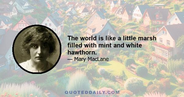 The world is like a little marsh filled with mint and white hawthorn.