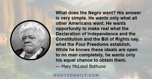 What does the Negro want? His answer is very simple. He wants only what all other Americans want. He wants opportunity to make real what the Declaration of Independence and the Constitution and the Bill of Rights say,