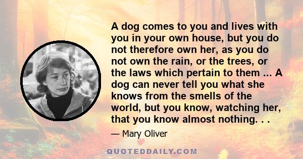 A dog comes to you and lives with you in your own house, but you do not therefore own her, as you do not own the rain, or the trees, or the laws which pertain to them ... A dog can never tell you what she knows from the 