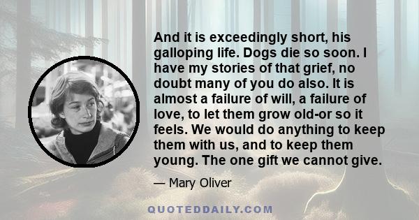 And it is exceedingly short, his galloping life. Dogs die so soon. I have my stories of that grief, no doubt many of you do also. It is almost a failure of will, a failure of love, to let them grow old-or so it feels.