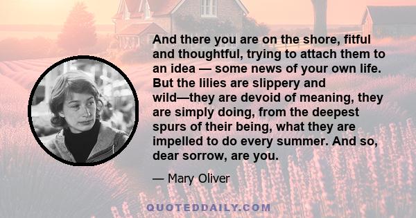 And there you are on the shore, fitful and thoughtful, trying to attach them to an idea — some news of your own life. But the lilies are slippery and wild—they are devoid of meaning, they are simply doing, from the