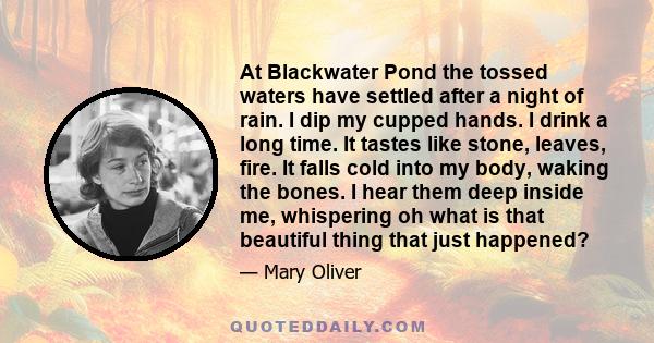 At Blackwater Pond the tossed waters have settled after a night of rain. I dip my cupped hands. I drink a long time. It tastes like stone, leaves, fire. It falls cold into my body, waking the bones. I hear them deep