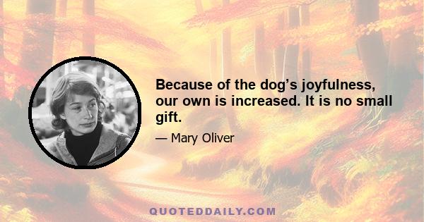 Because of the dog’s joyfulness, our own is increased. It is no small gift.