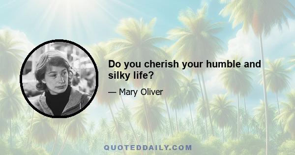 Do you cherish your humble and silky life?