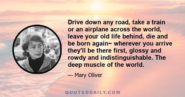 Drive down any road, take a train or an airplane across the world, leave your old life behind, die and be born again~ wherever you arrive they'll be there first, glossy and rowdy and indistinguishable. The deep muscle