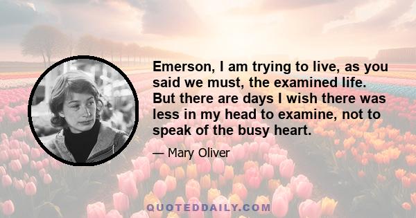 Emerson, I am trying to live, as you said we must, the examined life. But there are days I wish there was less in my head to examine, not to speak of the busy heart.