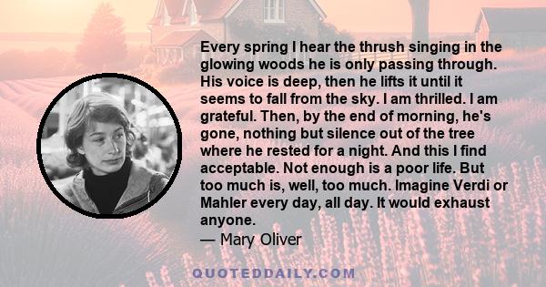 Every spring I hear the thrush singing in the glowing woods he is only passing through. His voice is deep, then he lifts it until it seems to fall from the sky. I am thrilled. I am grateful. Then, by the end of morning, 