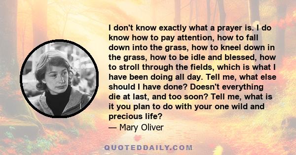 I don't know exactly what a prayer is. I do know how to pay attention, how to fall down into the grass, how to kneel down in the grass, how to be idle and blessed, how to stroll through the fields, which is what I have