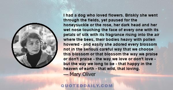 I had a dog who loved flowers. Briskly she went through the fields, yet paused for the honeysuckle or the rose, her dark head and her wet nose touching the face of every one with its petals of silk with its fragrance