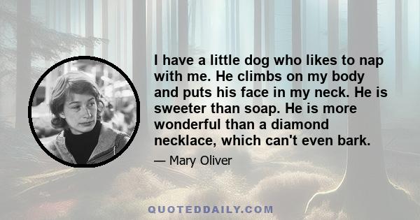 I have a little dog who likes to nap with me. He climbs on my body and puts his face in my neck. He is sweeter than soap. He is more wonderful than a diamond necklace, which can't even bark.